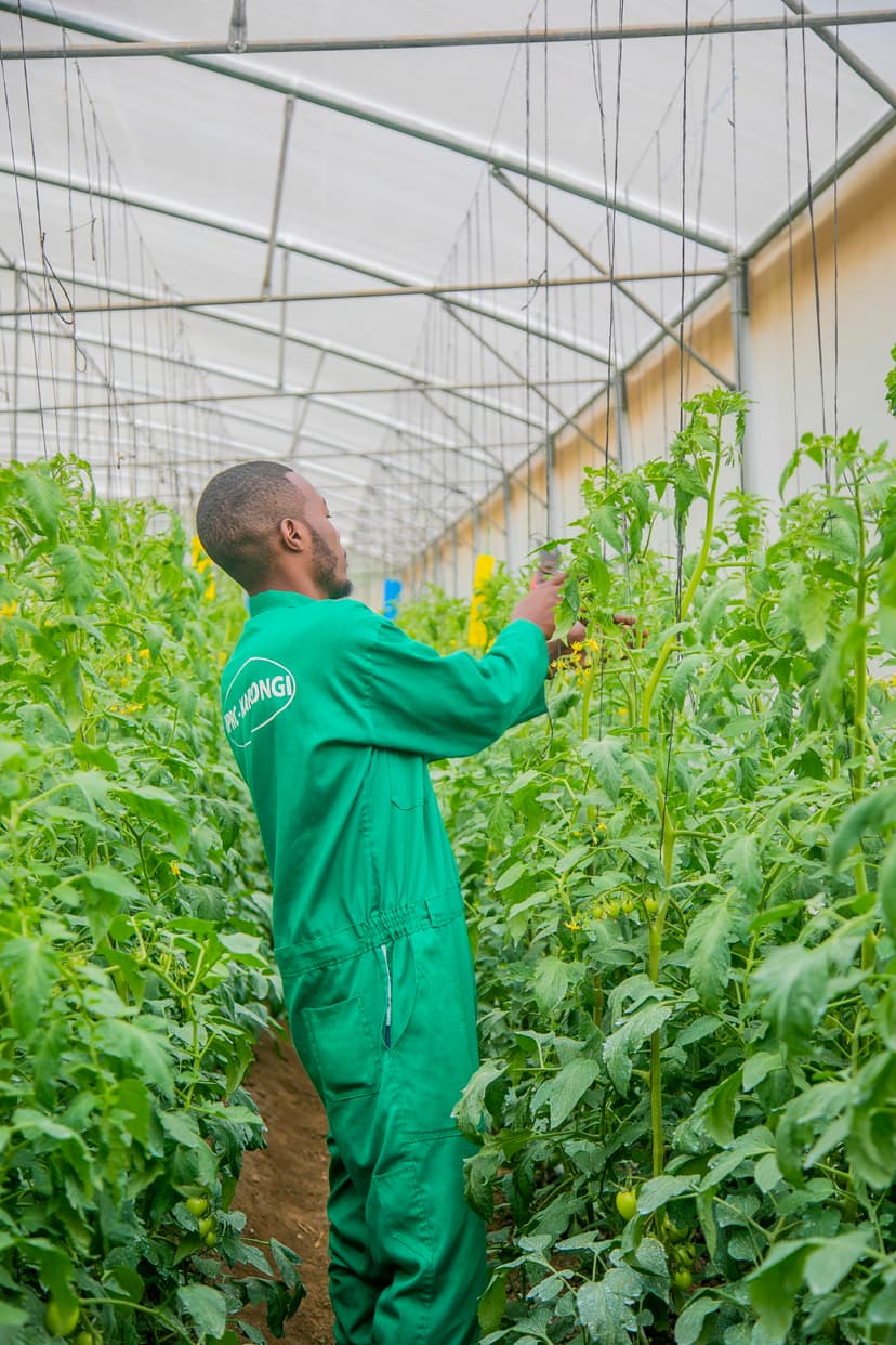 Green Innovation Hub – IPRC Karongi